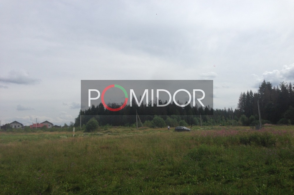 Старт продаж земельных участков в деревне Бакеево